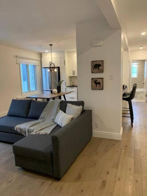 Free Parking, Beautiful 4 1/2- 2 Bedroom Apartment Montreal Exteriér fotografie